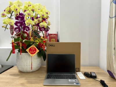 may-tinh-xach-tay-dell-pro-14-essential-pv14250-intel-core-5-120u-10-cores-up-to-50-ghz-18gb-512gb-ssd-14-1920x1200-4-cells-win-11-dq202822710322